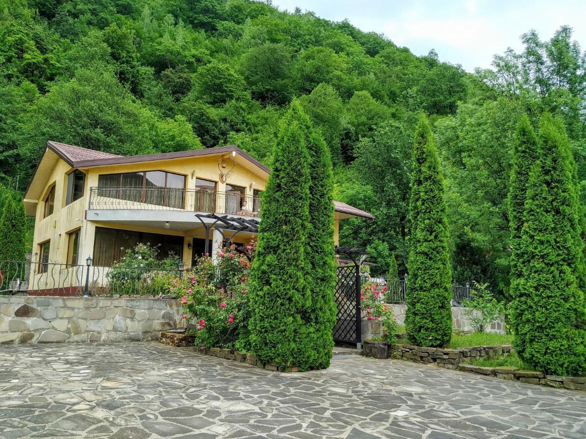 Un Colt De Rai Villa Lunca Jaristei Exterior photo